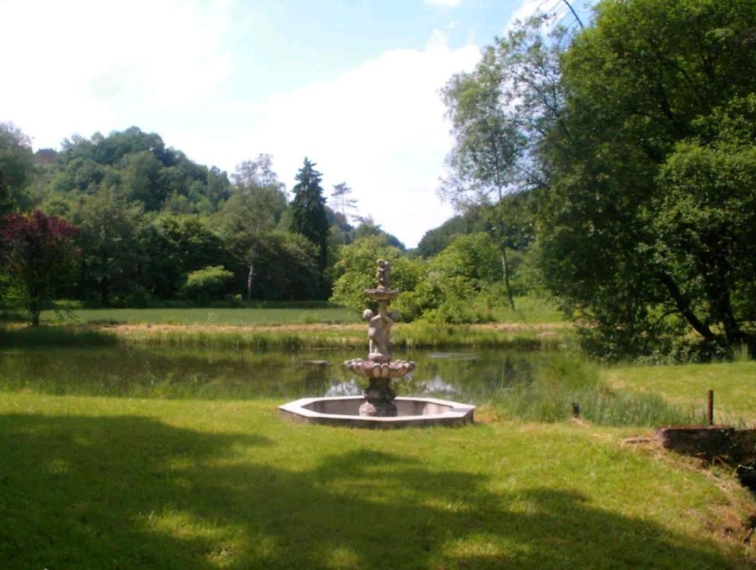 Propriete Bordee D'Etangs, Propice A La Detente Florenville Buitenkant foto