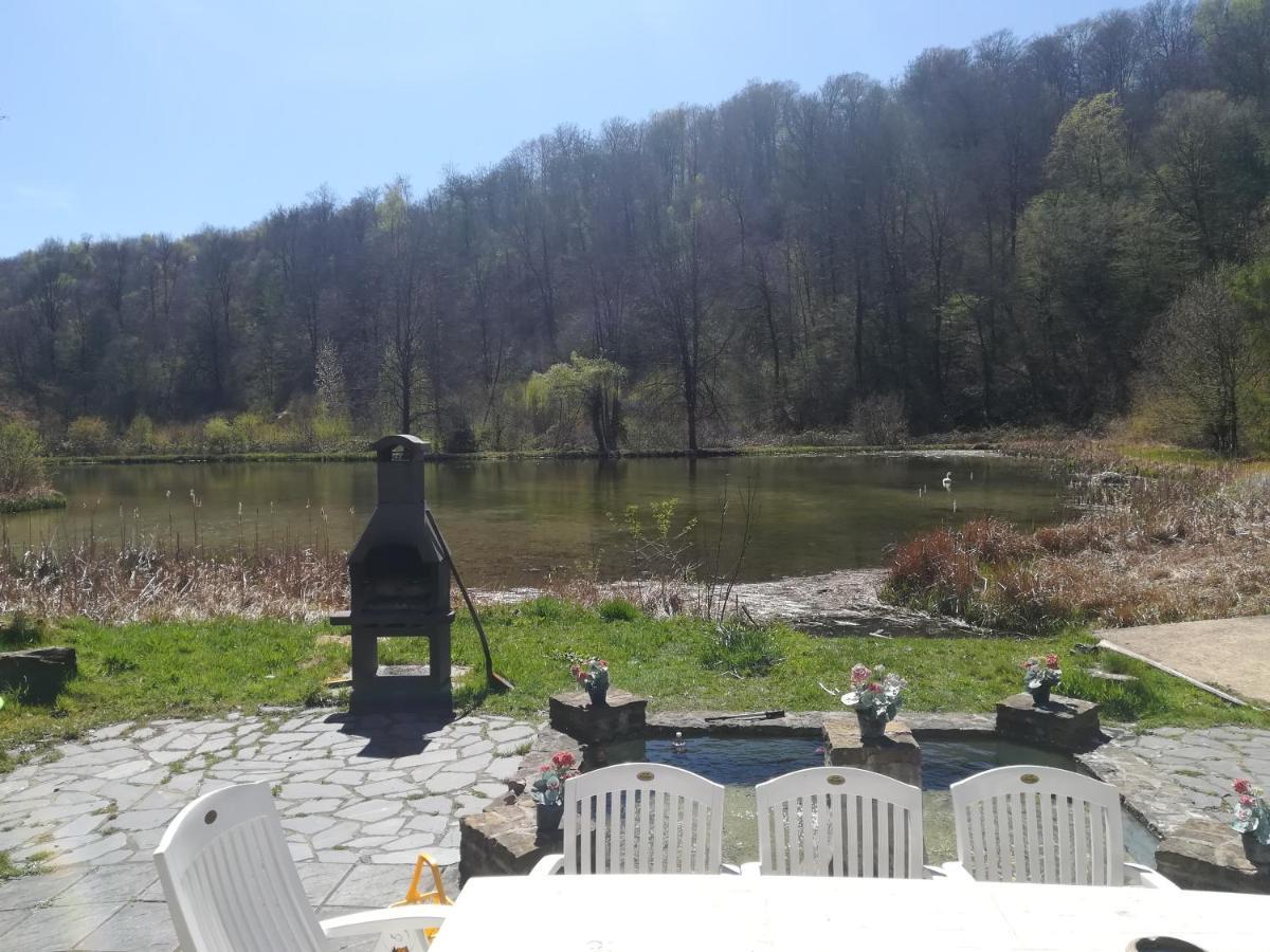 Propriete Bordee D'Etangs, Propice A La Detente Florenville Buitenkant foto
